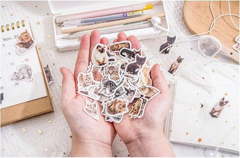 90 جهاز كمبيوتر صغير ملصقات CAT CAT SMAHE للمذكرات ، المخطط ، سجل القصاصات ، الألبوم ، دفتر ملاحظات ، مجلة (قطة أسود) in Kuwait