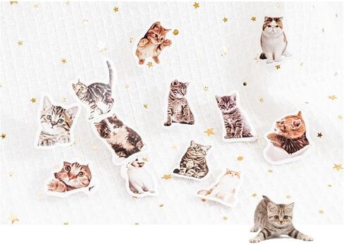 90 جهاز كمبيوتر صغير ملصقات CAT CAT SMAHE للمذكرات ، المخطط ، سجل القصاصات ، الألبوم ، دفتر ملاحظات ، مجلة (قطة أسود) in Kuwait