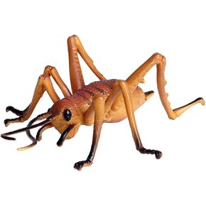 Realistic Animal Figures Cricket Figurines Insect Toy, Science Project, Cake Topper, Early Educational Toys Birthday for Toddlers Kids Age 3 4 5