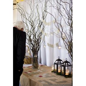 10 Natural Curly Willow Branch Tips - Great for Decoration, Vase Filler, Wedding or Event Decor - Approx. 3 Foot Tall