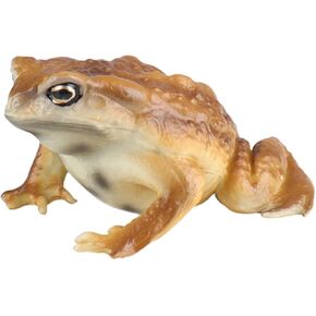 Realistic Solid Frog and Toad Animal Figurines for Kids, Educational Reptile Toys, Ideal for Birthday, Party Favors, and Science Projects（Brown）