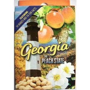 Saddle Mountain Souvenir Georgia Playing Cards