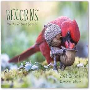 2025 Yea Calendar Of Extremely Accurate Birds, Becorns The Art Of Bird Calendar, Beautiful 2025 Forest Folk Calendar, Wall Forest Folklore Overseas Calendar, Home Gifts for bird lovers (1pc)
