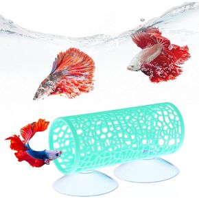 1 PC Betta Tunnel ، Betta Hideout Tank Tank Associory أرجوحة مع أكواب شفط ، ديكور آمن للأراجيك الأرجواني لأسماك Bettas Hide و Play and Rest (Black) in Kuwait