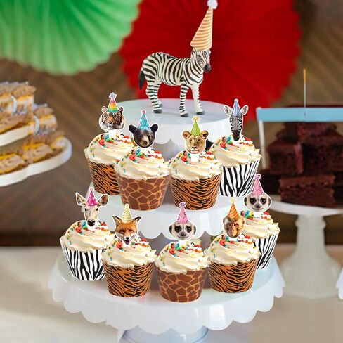 Hooqict 48 Pack Sports Cupcake Toppers and Wrappers Football Basketball Baseball Soccer Cupcake Topper Decorations Cupcake Picks for Boys Sports Theme Birthday Party Decorations in Saudi Arabia