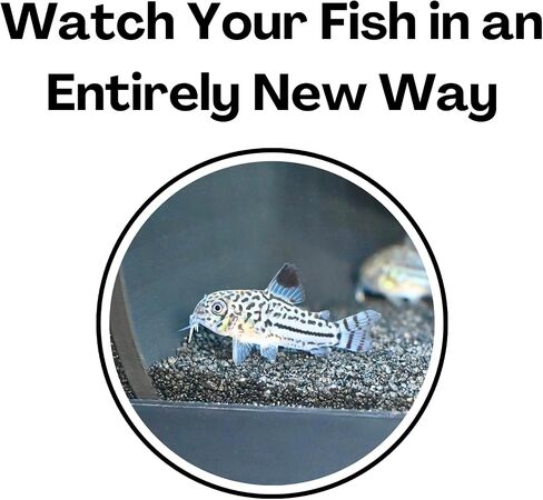 Aquarium Underground Two Hole Corner Cave | Viewing Fish & Shrimp Tunnel | Fish Tank Undergravel Hide Decor Decoration Hideout Perfect For Corydora Catfish, Kuhli Loach, Pleco, Betta Fish in Kuwait
