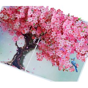 Orchid Happy 80th Birthday Card, 3D Birthday Cards for Women, 6x8in Pop Up Gifts for Mom, Wife, Him, Her, Daughter, Sister, Grandma (Happy 80th Birthday)