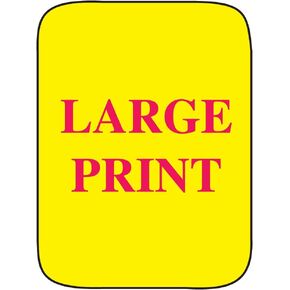 Classification Labels with Permanent Adhesive Large Print 250 per Roll c
