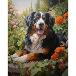 QACEYID DIY Painting by Numbers Gift Kits, Bernese Mountain Dog, Paint by Numbers on Canvas, Ideas Gifts for Home Decor, 40x50cm, Without Frame