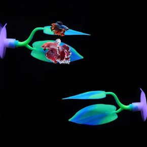 2PCS Silicone Betta Fish Leaf Hammock, Aquarium Fish Tank Resting Spot Bed for Betta Fish