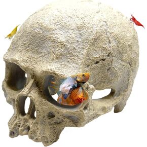 CTWPets Aquarium Human Skull Decor for Betta Fish, Sinking Hide Shrimp Hide