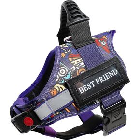 Breathable Dog Vest,Service Dog Harness,ID Tag and ADA Info Cards,ESA Accessory Set,No Pull Escape Proof,Adjustable Reflective Vest Harness for Dogs,Comfort Fit Pet Leash Set (Pink, Small)