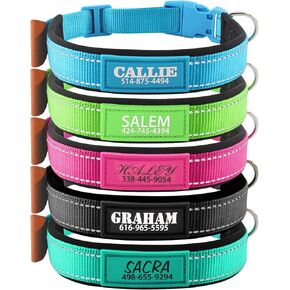 Personalized Dog Collar with Name and Phone Number | Durable Buckle | Ultra Wide Soft Neoprene Padded | Adjustable Reflective Dog Collar for Large Dogs (Padded)