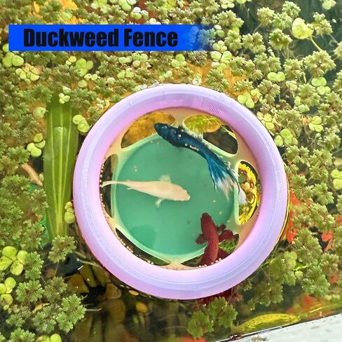 Floating Betta Fish Hideaway, Aquarium Suspended Resting Spot, Feeder for Small Fish and Shrimp, 3D Printed, Decorative Floating Cave Accessory for Aquariums. (Color) in Saudi Arabia