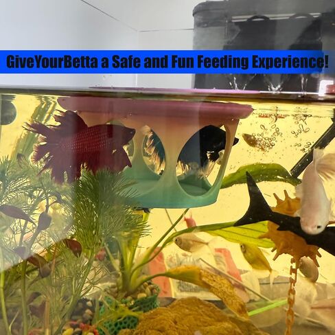 Floating Betta Fish Hideaway, Aquarium Suspended Resting Spot, Feeder for Small Fish and Shrimp, 3D Printed, Decorative Floating Cave Accessory for Aquariums. (Color) in Saudi Arabia