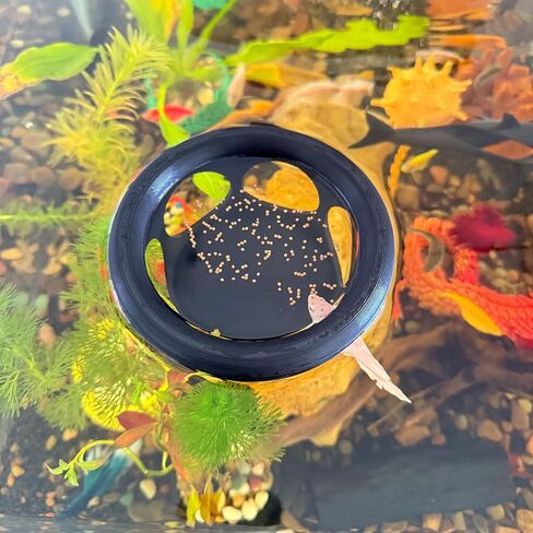 Floating Betta Fish Hideaway, Aquarium Suspended Resting Spot, Feeder for Small Fish and Shrimp, 3D Printed, Decorative Floating Cave Accessory for Aquariums. (Color) in Saudi Arabia