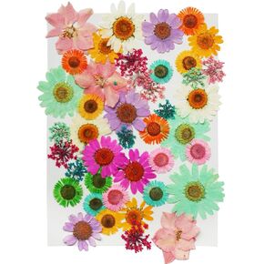 Dried Pressed Flowers for Resin, Real Flowers Dry Leaves Bulk Natural Herbs Kit for Scrapbooking DIY Art Crafts, Epoxy Resin Jewelry Molds, Candle, Soap Making, Nails Décor (Flower, 43 Pcs)