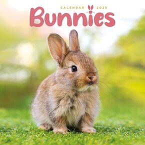 2025 Bunnies Mini calendar: Plastic Free Packaging