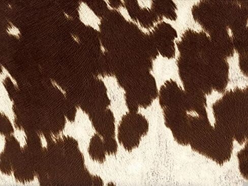 Suede Velvet Longhorn Spotted Cow Print Cowabunga Fabric Upholstery / 54" Wide/Sold by The Yard (Chocolate) in Kuwait