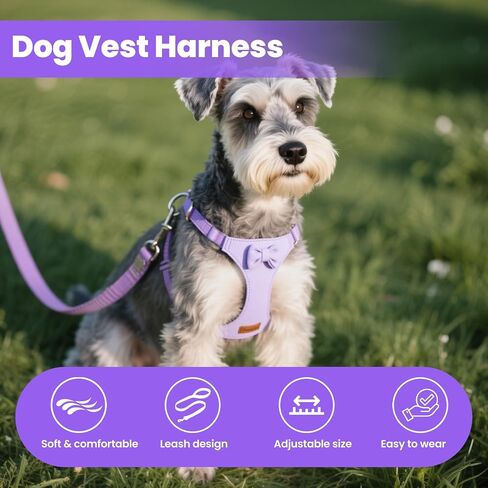 Small Dog Harness and Leash Set, Adjustable Puppy Harness for Small Dogs, No Pull Puppy Leash and Harness,Pet Harness with 1.5m Leash, Puppy Carrier Sling for Small Dogs, Cats (Yellow, S) in Kuwait