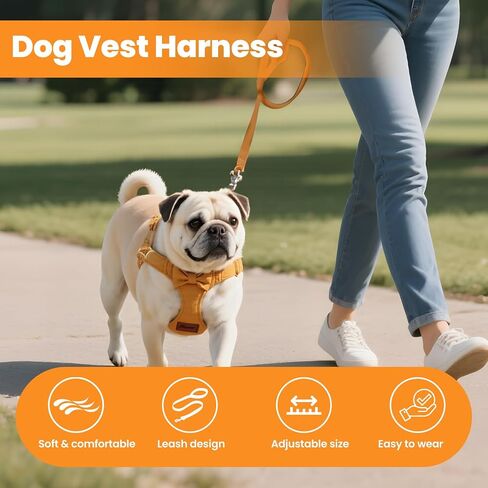 Small Dog Harness and Leash Set, Adjustable Puppy Harness for Small Dogs, No Pull Puppy Leash and Harness,Pet Harness with 1.5m Leash, Puppy Carrier Sling for Small Dogs, Cats (Yellow, S) in Kuwait
