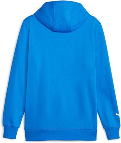 PUMA Men's Standard AMG Petronas Formula 1 ESS Fleece Hoodie, Mercedes Team Silver, X-Large in Saudi Arabia