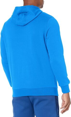 PUMA Men's Standard AMG Petronas Formula 1 ESS Fleece Hoodie, Mercedes Team Silver, X-Large in Saudi Arabia