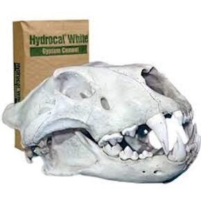 Hydrocal Plaster for Scenery, Dioramas, Dentistry and Mold Casting Plaster Resealable Bag Great for Model Railroads (10 Pounds)