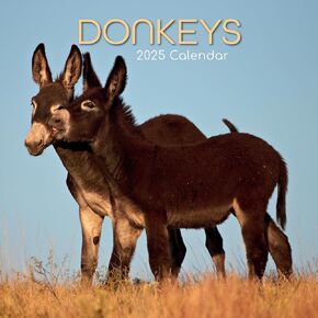 The Gifted Stationery 2025 Square Donkeys 16 Month Wall Calendar Planner with 180 Reminder Stickers for Home Wall, or Animal Theme Space - 12x12 In