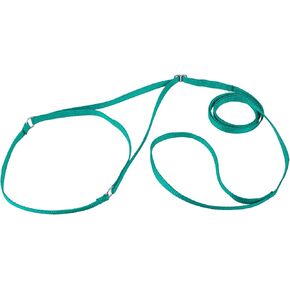 Country Brook Design Nylon Martingale Dog Show Lead - Blue