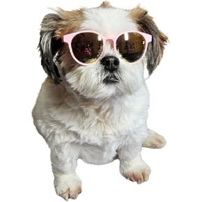 G045-jnst Dog 15-25lbs Small to Medium Breeds Star Shape Costume Puppy Cat Pet Sunglasses (Star Pink-Pink Mirror)