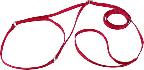 Country Brook Design Nylon Martingale Dog Show Lead - Blue in Kuwait