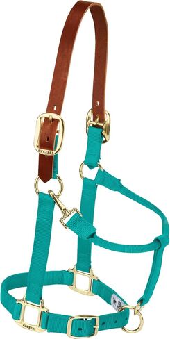 Weaver Leather Nylon Adjustable Breakaway Horse Halter, Average, Raspberry in Saudi Arabia