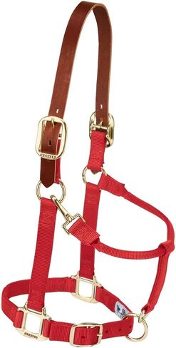 Weaver Leather Nylon Adjustable Breakaway Horse Halter, Average, Raspberry in Saudi Arabia