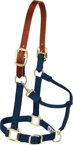 Weaver Leather Nylon Adjustable Breakaway Horse Halter, Average, Raspberry in Saudi Arabia