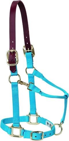 Weaver Leather Nylon Adjustable Breakaway Horse Halter, Average, Raspberry in Saudi Arabia