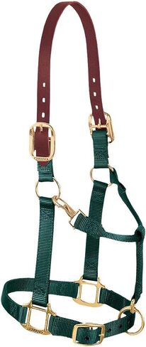 Weaver Leather Nylon Adjustable Breakaway Horse Halter, Average, Raspberry in Saudi Arabia