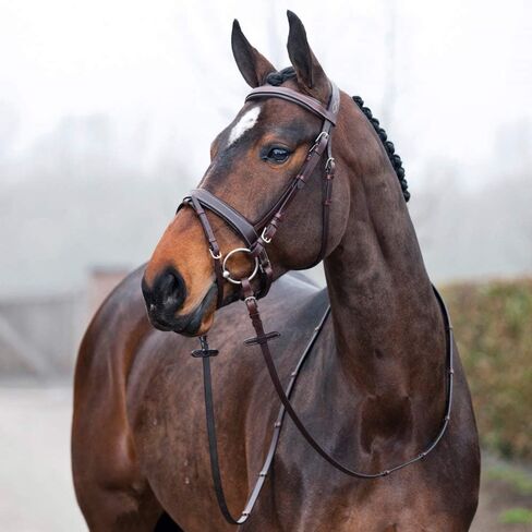 HORZE Venice Padded Synthetic Leather Snaffle Bridle with Flash and Reins in Saudi Arabia