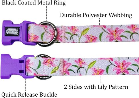 Dog Collar and Leash Set, Floral Pattern, Polyester Material, 5ft Leash, for Puppy Dogs.(XS, Strawberry) in Kuwait