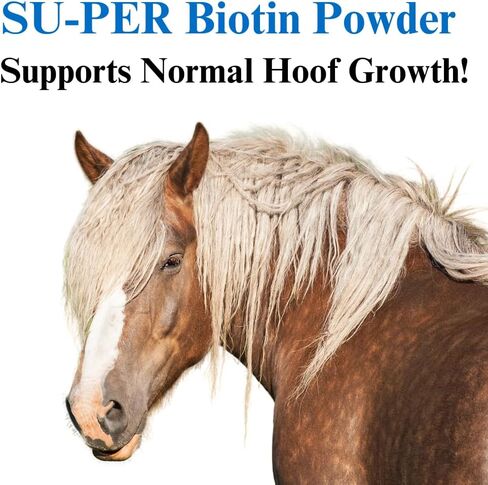 Biotin Powder Hoof Supplement - Biotin for Horse Hoof Care & Healthy Hooves Growth - 2.5 Pounds, (2 Pack) in Saudi Arabia