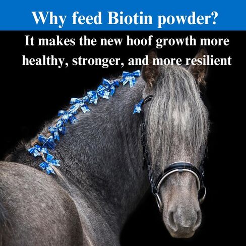 Biotin Powder Hoof Supplement - Biotin for Horse Hoof Care & Healthy Hooves Growth - 2.5 Pounds, (2 Pack) in Saudi Arabia