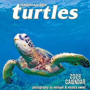 Deluxe Wall Calendar 2026 Hawaiian Sea Turtles - Photography by Michael and Monica Sweet - 2026 Wall Calendar 12 Month by Pacifica Island Art