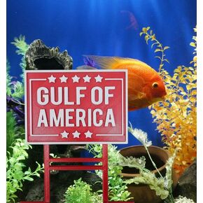 Gulf of America Aquarium Decor MAGA Make America Great Again Sign Decor for Fish Tank Betta Fish Tank Trump Sign Garden for Planter