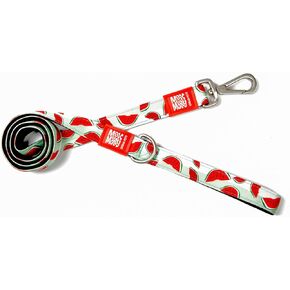 Max & Molly Classic Dog Leash, Comfort Grip Handle, Durable & Strong Neoprene Fabric, Brushed Silver Hardware, Secure Easy Attach Snap Hook, Upper D-Ring for Accessories, Machine Washable