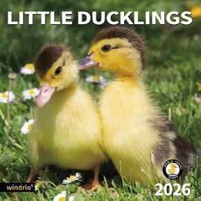 windrio 2026 Wall Calendar, Calendar 2026, July 2025 - December 2026, Wall Calendar Little Ducklings, 12" x 24" Opened,Full Page Months Thick & Sturdy Paper for Calendar Organizing & Planning
