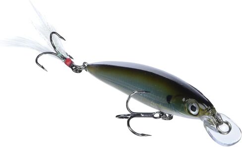 طُعم الصيد Rapala X-Rap 10، مقاس 10.16 سم، ملمع خلفي من الطحلب in Saudi Arabia