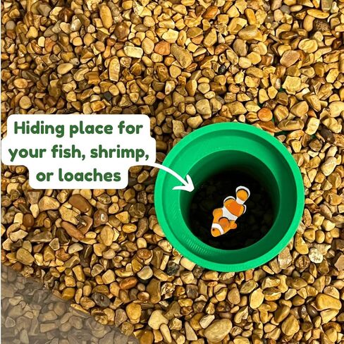 Chatelet REEFSHAPE Pipe Design Aquarium Viewing Tunnel | Underground Fish & Shrimp Corner Hideout with Pipe Entrance | Made in USA (Green) in Saudi Arabia