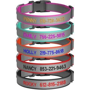 Custom Dog Collars,Reflective Embroiderd Dog Collar with Name and Phone Number in Orange,Black,Rose,Red and Cyan,for Boy and Girl Dog Collar,4 Adjustable Sizes Small,Medium,Large,XL Large