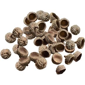 100X Acorns Natural Acorns Real Rustic Caps Decorative Vase Fulers Home DIY عيد الشكر عيد الميلاد مطبخ الخريف المبعثر الدعائم الدعامة - قبعات الجوز الطبيعية
