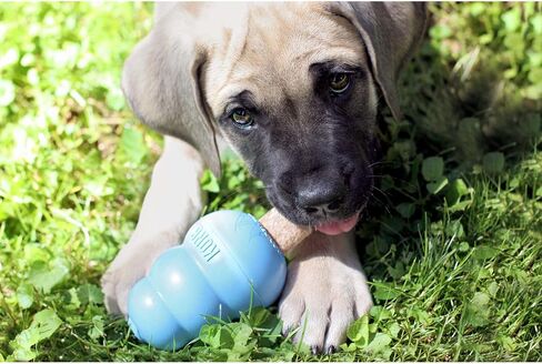 Kong - Enhanced Ziggies Puppy - Teeth Cleaning Dog Treats - Small (Best Used with Kong Puppy Rubber Toys) in Saudi Arabia